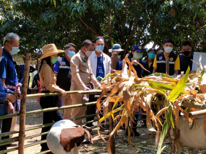 โครงการฝึกอบรมบำรุงและส่งเสริมการประกอบอาชีพของประชาชน &quot;สร้างอาชีพใหม่ สู้ภัยโควิด สู่เศรษฐกิจที่ยั่งยืน&quot;