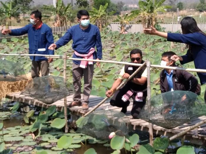 โครงการส่งเสริมการทำเกษตรตามแนวทางปรัชญาเศรษฐกิจพอเพียง ศูนย์เรียนรู้และการท่องเที่ยวเชิงเกษตรบ้านบะยาว